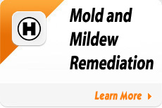 Mold and Mildew Remediation