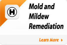 Mold and Mildew Remediation
