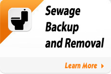 Sewage Backup and Removal